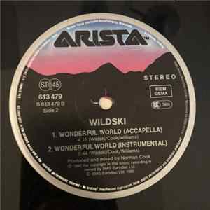 Wildski - Wonderful World FLAC