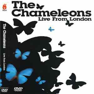 The Chameleons - Live From London FLAC
