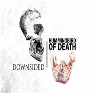 Downsided / Hummingbird Of Death - Downsided / Hummingbird Of Death FLAC