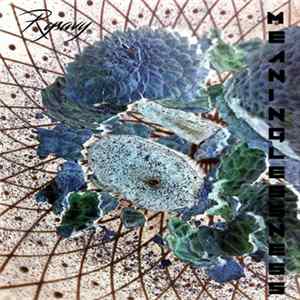 Rysavy - Meaninglessness FLAC