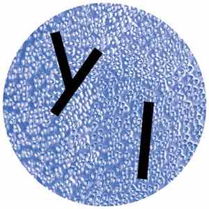 Arthur Johnson - Perfect Stranger EP FLAC