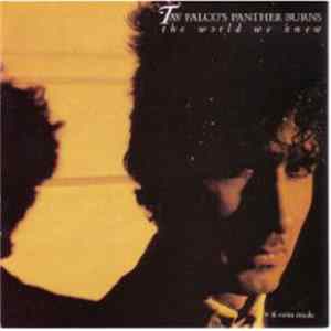 Tav Falco's Panther Burns - The World We Knew FLAC