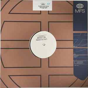 Cybersecrecy - Polygraph FLAC