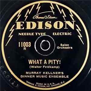 Murray Kellner's Dinner Music Ensemble - What A Pity! / Fidgets FLAC