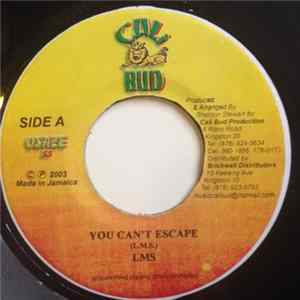 LMS - You Can't Escape FLAC