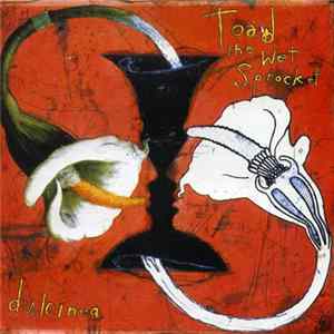 Toad The Wet Sprocket - Dulcinea FLAC