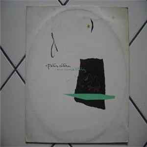 Peter Cetera - One More Story FLAC