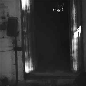 Half-Dead Teenage Girl Bypasses The Corners Of The Corridor Under The Influence Of Psychotropic Childhood - Pieces Of Foliage FLAC
