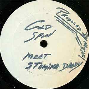 Unknown Artist - Gold Spoon Meets Stamina Daddy FLAC