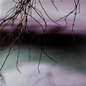 Meg Mulhearn + Void Ensemble - Void I/Gathering FLAC