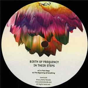 Birth Of Frequency - In Their Steps FLAC