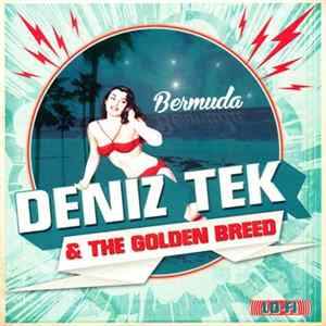 Deniz Tek & The Golden Breed - Bermuda FLAC