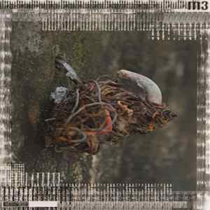 Various - Noisenesia Vs World FLAC