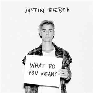 Justin Bieber - What Do You Mean? FLAC
