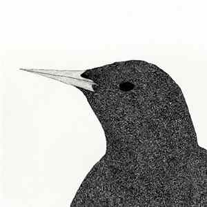Lata - Starlings FLAC