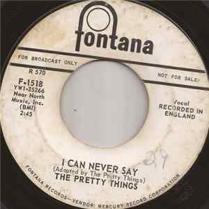 The Pretty Things - I Can Never Say / Cry To Me FLAC