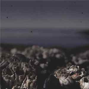 Moddi - Floriography FLAC