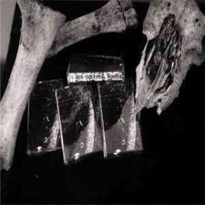 Mardraum - Morbid Spring Rehearsal FLAC