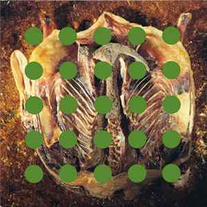 Pixies - (Live) FLAC