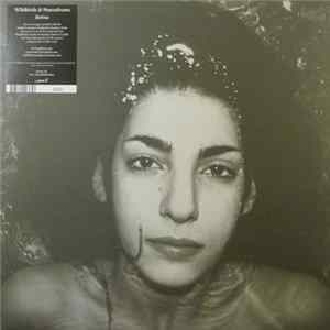 Wildbirds & Peacedrums - Retina FLAC