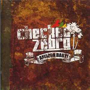 Checked Zebra - Amazon Baby! FLAC