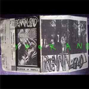 Prenatal End - Pilgrims Of Despair FLAC