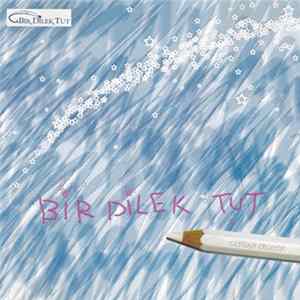 Candan Erçetin - Bir Dilek Tut FLAC