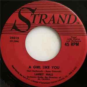 Larry Hall - A Girl Like You FLAC