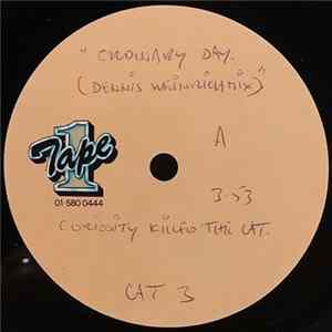 Curiosity Killed The Cat - Ordinary Day (Dennis Weinrich Mix) FLAC