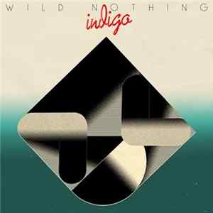 Wild Nothing - Indigo FLAC