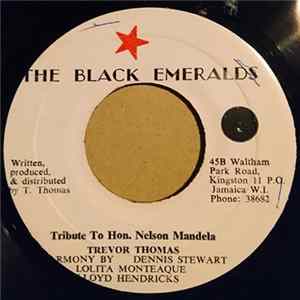Trevor Thomas - Tribute to Hon. Nelson Mandela FLAC