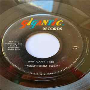 Mushroom Farm - Get Lost (is the word she said) FLAC