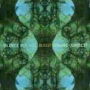 Buggy Braune Quintett - Silence But You FLAC