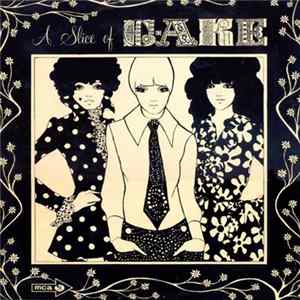 The Cake - A Slice Of The Cake FLAC