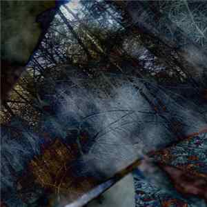 The Flux Project - Visuals FLAC