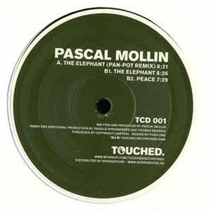Pascal Mollin - The Elephant FLAC