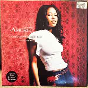 Amerie - Why Don't We Fall In Love FLAC