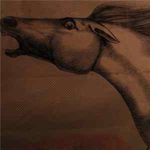Julian Lynch - Mare FLAC