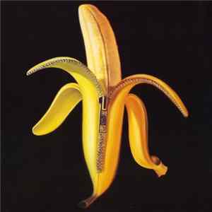 The Dandy Warhols - Welcome To The Monkey House FLAC