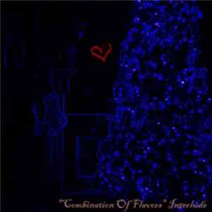Archbishop THA Producer - "Combination Of Flavors" Interlude FLAC