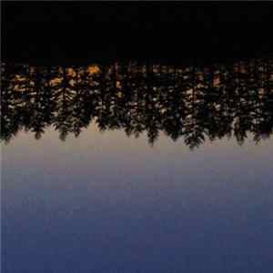 Jim O'Rourke - Steamroom 25 FLAC