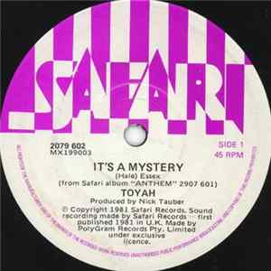 Toyah - It's A Mystery FLAC