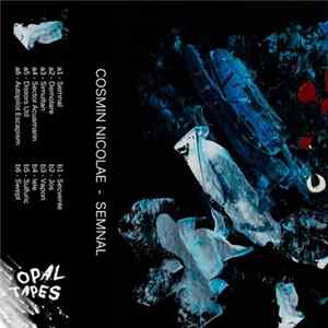 Cosmin Nicolae - Semnal FLAC