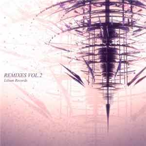 Various - REMIXES VOL.2 FLAC