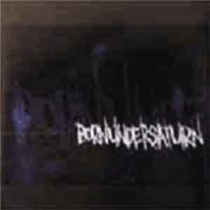 Born Under Saturn - Reflecting The Beautiful Design FLAC