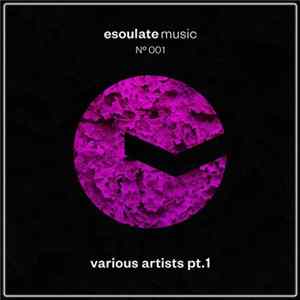 Various - Various Artists Vol. 1 FLAC