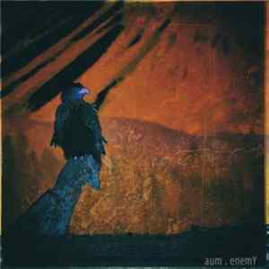 aum - Enemy FLAC