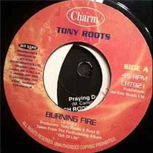 Tony Roots - Burning Fire FLAC