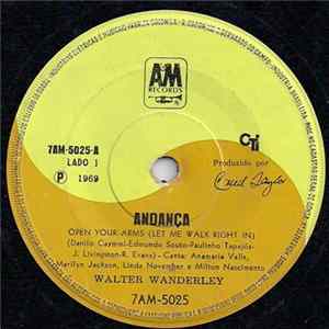 Walter Wanderley - Andança / Ponteio FLAC