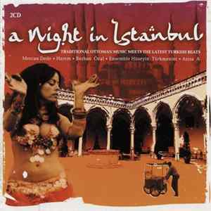 Various - A Night In Istanbul (Traditional Ottoman Music Meets The Latest Turkish Beats) FLAC